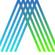 Fundraising Page: Liz Schucht